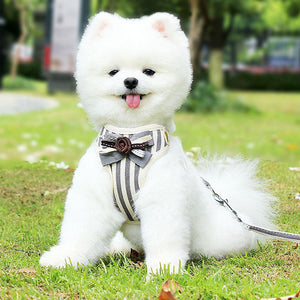 Unleash Style and Comfort with the New Pet Chest Strap Leash Vest
