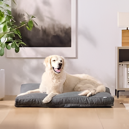 Choosing the Right Pet Bed