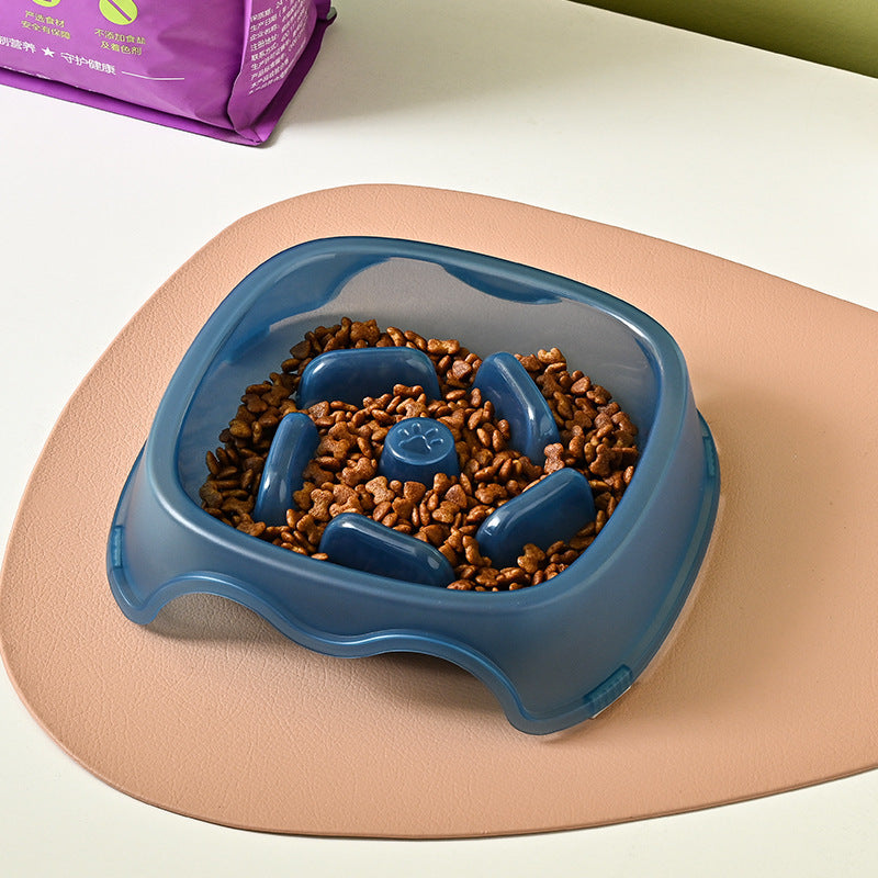 Anti Choking Slow Feed Pet Bowl For Safe Feeding Use