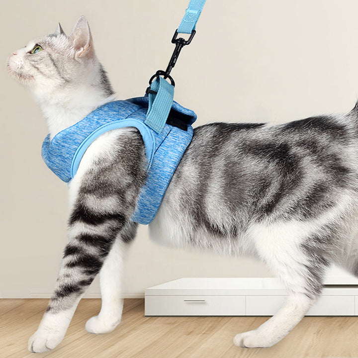 Leash Lace Rope Breathable Lightweight Chest Strap