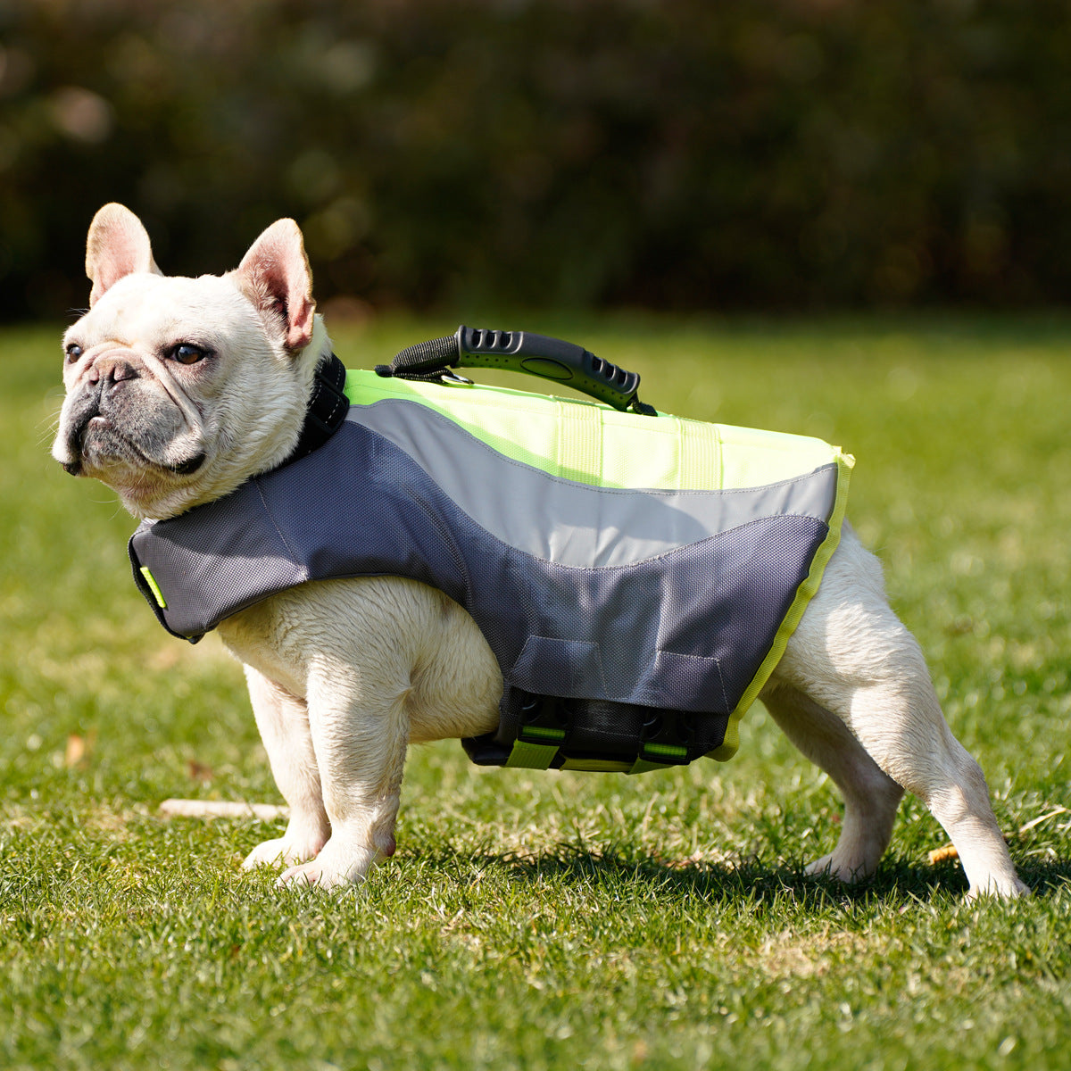 Reflective Pet Swimsuit Life Jacket Safety Wear