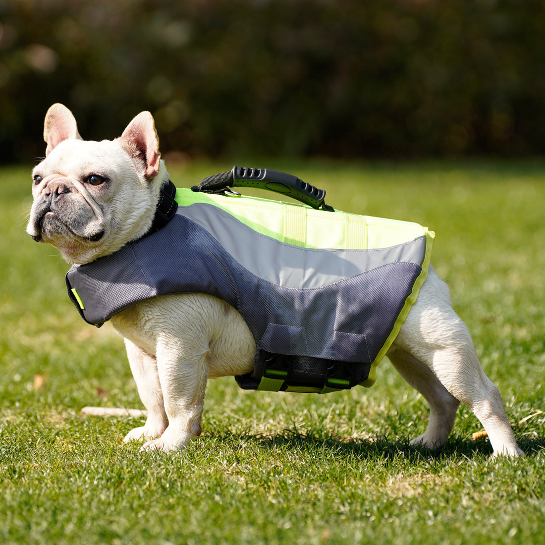 Reflective Pet Swimsuit Life Jacket Safety Wear