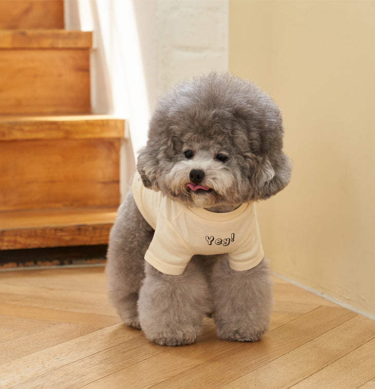 Korean Style Cotton Printed Pet T Shirt Short Sleeve