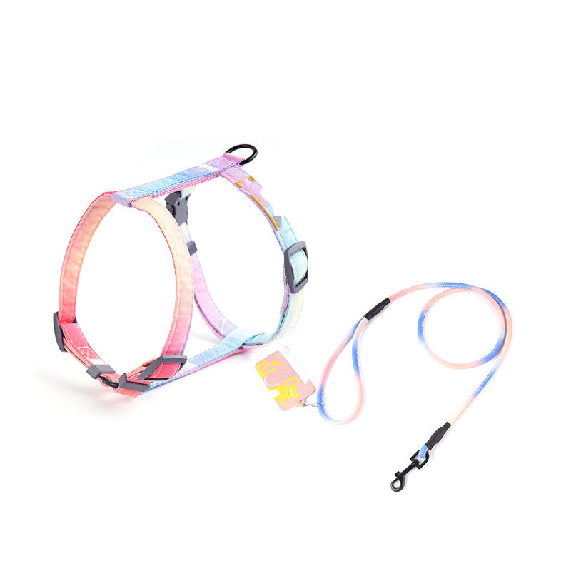Fashion Leash To Prevent Breaking Free
