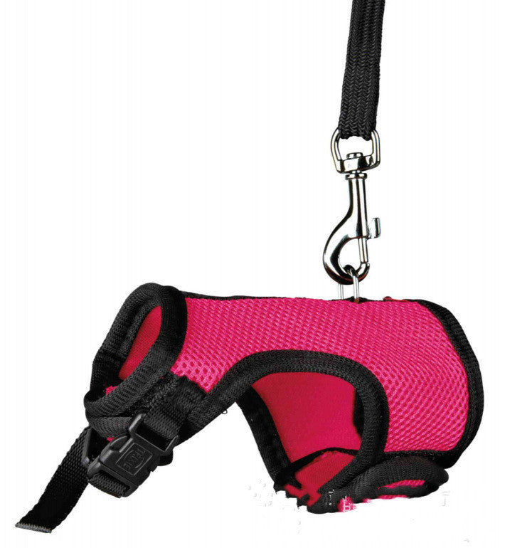 Adjustable Small Pet Leash For Comfortable Daily Outdoor Walking