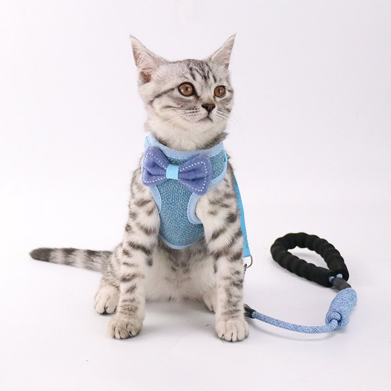 Adjustable Pet Chest And Back Leash For Comfortable Walking Use