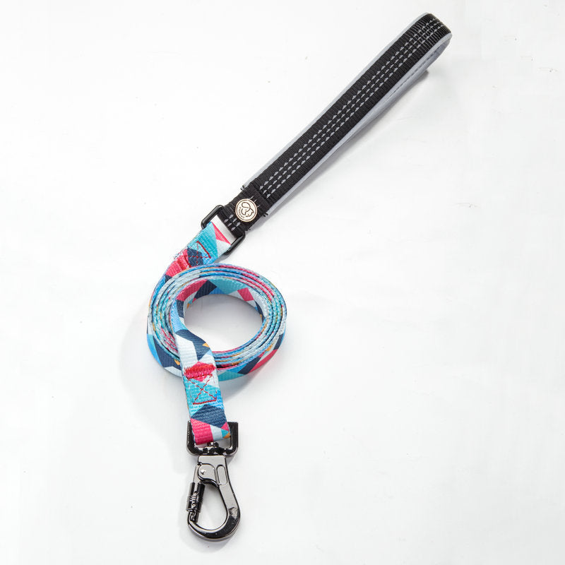 Durable Pet Leash For Comfortable Daily Outdoor Walking Use