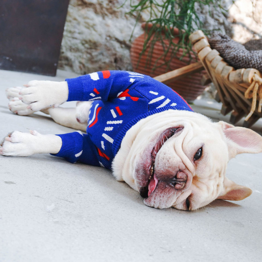 Warm Knitted Pet Sweater Cozy Apparel