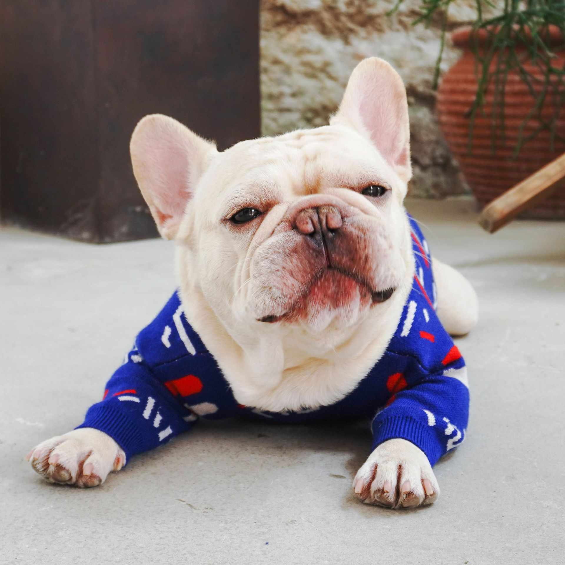 Warm Knitted Pet Sweater Cozy Apparel