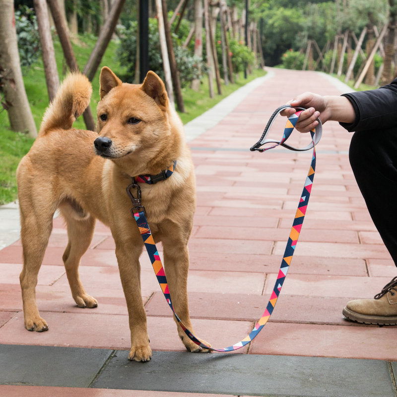 Durable Pet Leash For Comfortable Daily Outdoor Walking Use