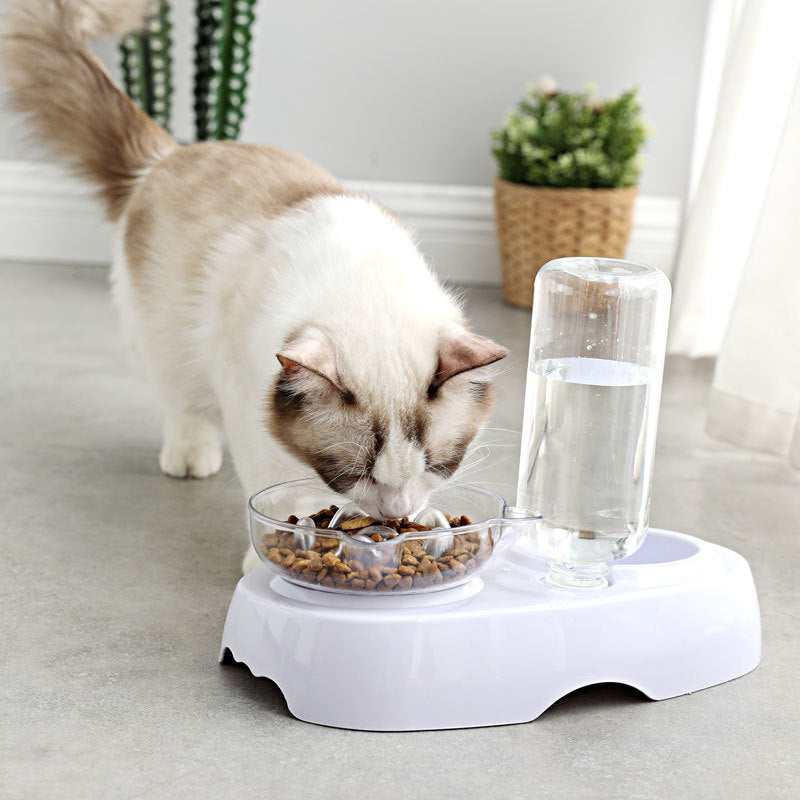 Transparent Plastic Pet Feeding And Drinking Bowl For Daily Use
