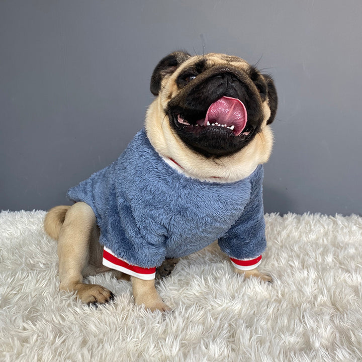 Warm Knitted Pet Sweater Comfortable Apparel