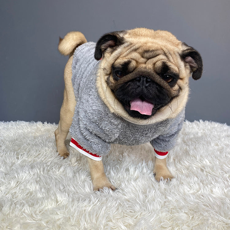 Warm Knitted Pet Sweater Comfortable Apparel