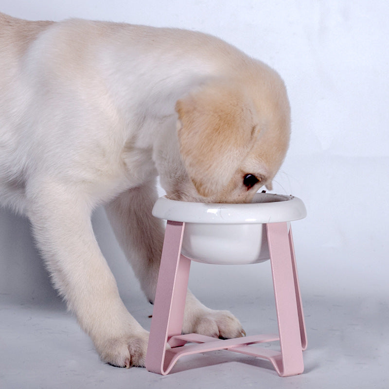 Anti Slip Pet Feeding Bowl With Iron Stand For Food And Water