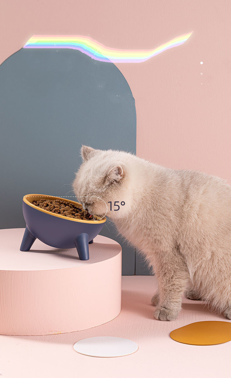 Nordic Style Pet Feeding Bowl With Stand For Food And Water