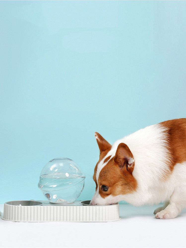 Automatic Pet Water Dispenser Bowl For Continuous Hydration Use