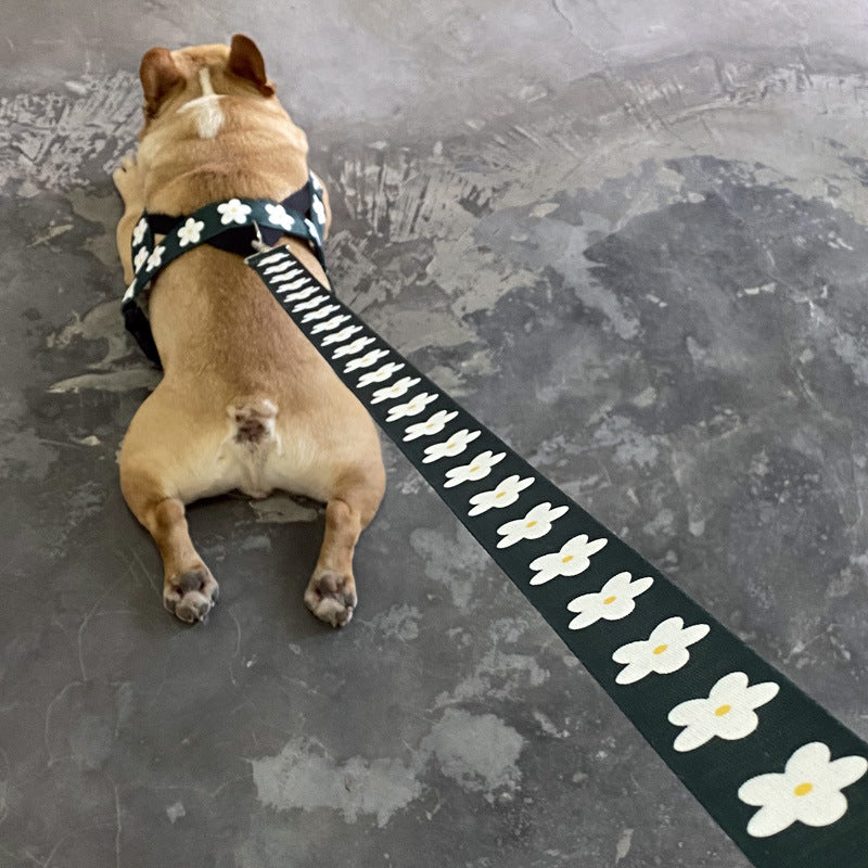 Vest Style Adjustable Pet Leash Set For Large Breed Walking