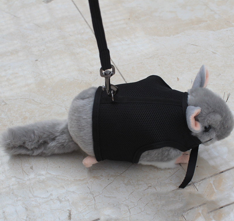 Adjustable Small Pet Leash For Comfortable Daily Outdoor Walking