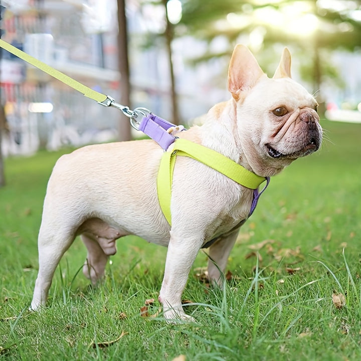 Rainbow Colorblock Anti Escape Pet Harness Vest And Leash Set