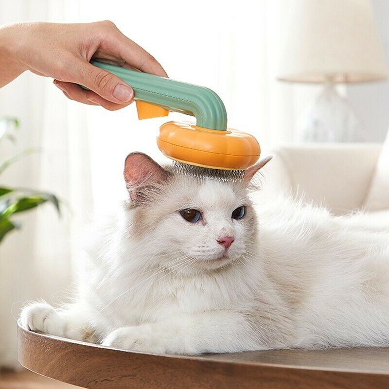 Pet Pumpkin Self Cleaning Slicker Grooming Brush For Pets