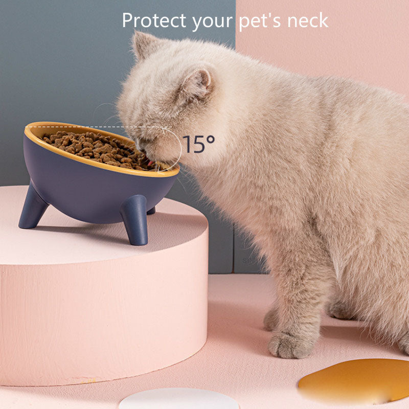 Nordic Style Pet Feeding Bowl With Stand For Food And Water