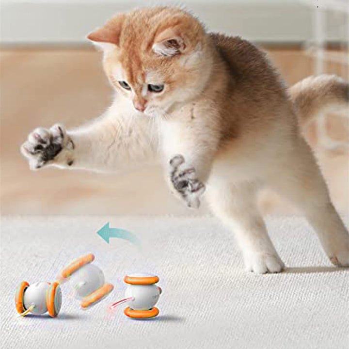 Electric Intelligent Charging Teasing Interactive Pet Toy