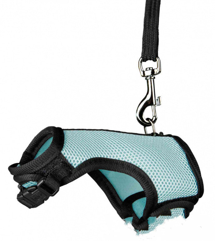 Adjustable Small Pet Leash For Comfortable Daily Outdoor Walking