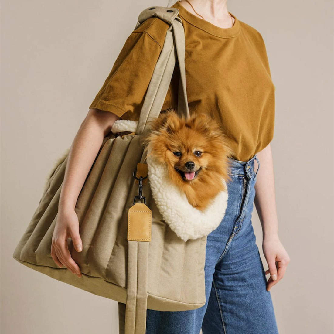 Lightweight Waterproof Pet Carrier Bag For Outdoor Travel Use