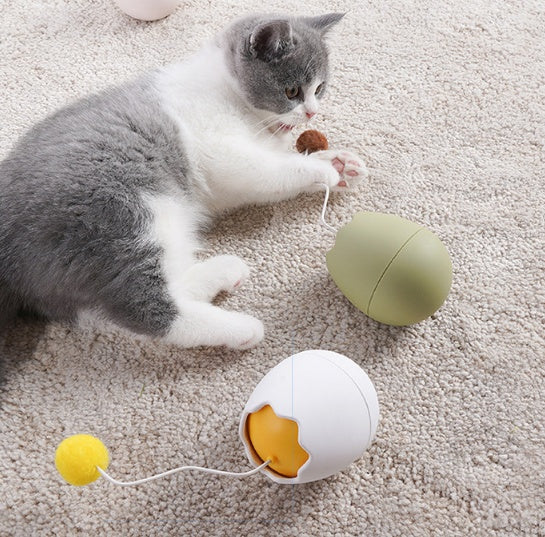 Funny Interactive Pet Entertainment Toy