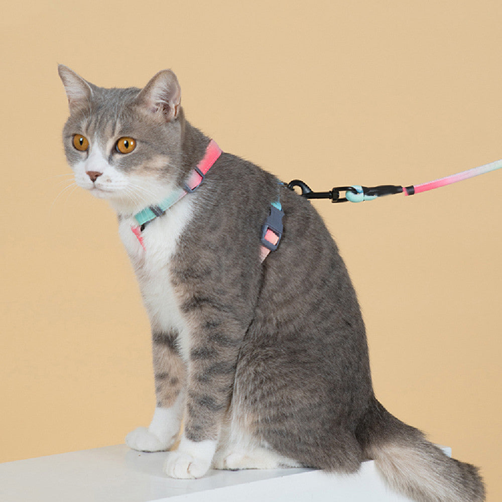 Fashion Leash To Prevent Breaking Free