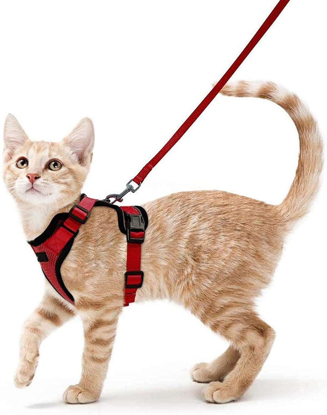 Vest Type Adjustable Anti Breakaway Leash