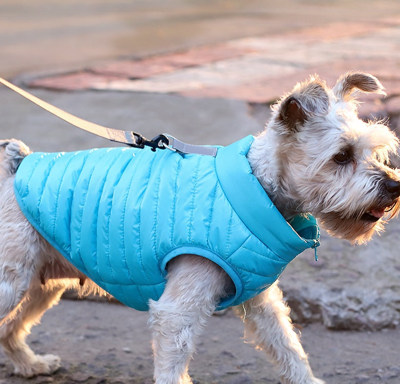 Autumn Winter Nylon Zipper Pet Jacket Warm Apparel