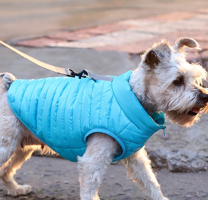 Autumn Winter Nylon Zipper Pet Jacket Warm Apparel