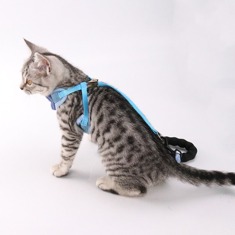 Adjustable Pet Chest And Back Leash For Comfortable Walking Use