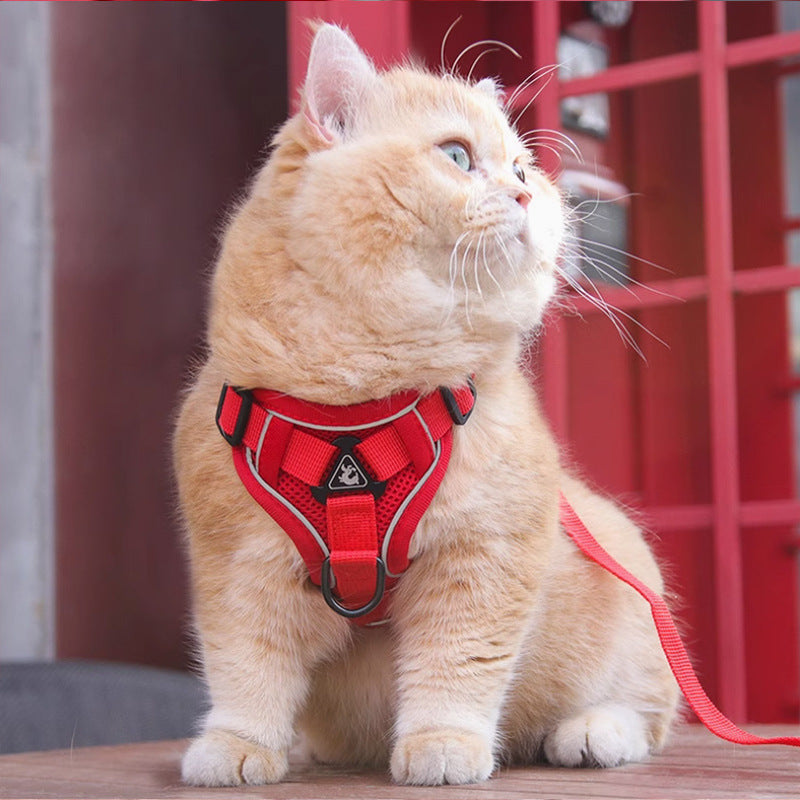 Adjustable Pet Harness Vest With Leash For Daily Outdoor Walking