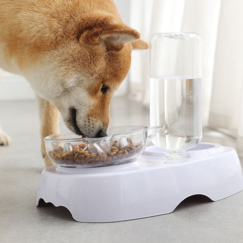 Transparent Plastic Pet Feeding And Drinking Bowl For Daily Use