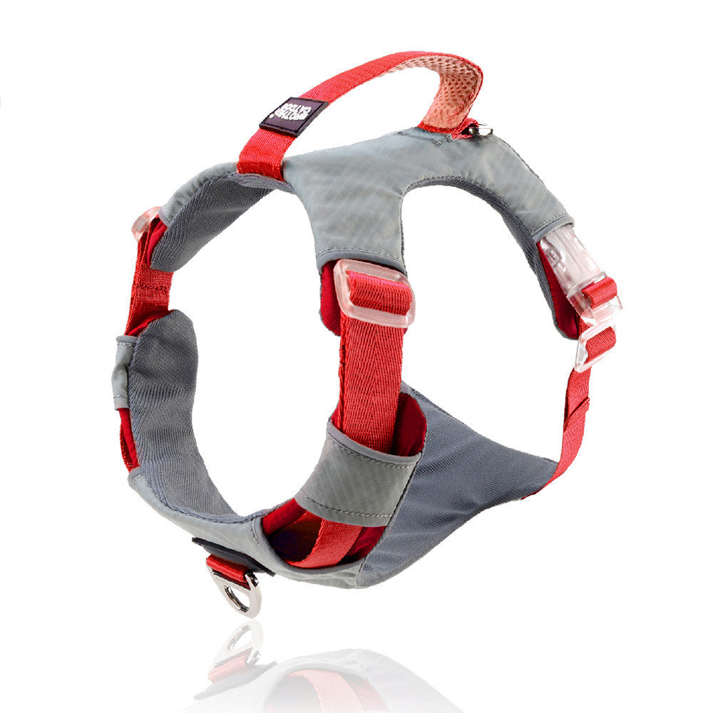 Explosion Proof Large Pet Chest Strap Leash Storage Bag Set