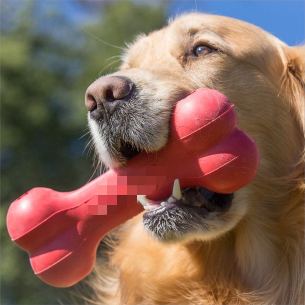 Bite Resistant Rubber Chewing Teeth Grinding Pet Toy