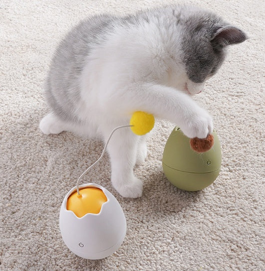 Funny Interactive Pet Entertainment Toy