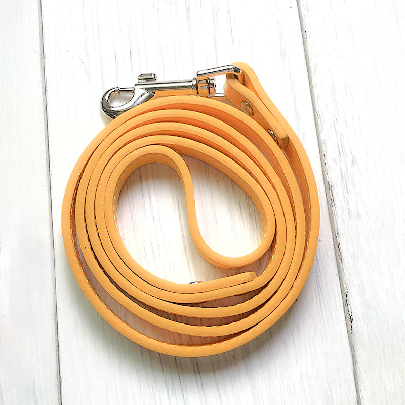 Adjustable Pet Leash And Collar Set For Daily Walking Use
