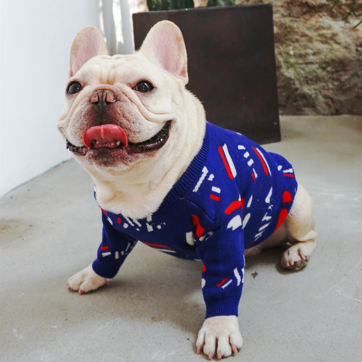 Warm Knitted Pet Sweater Cozy Apparel