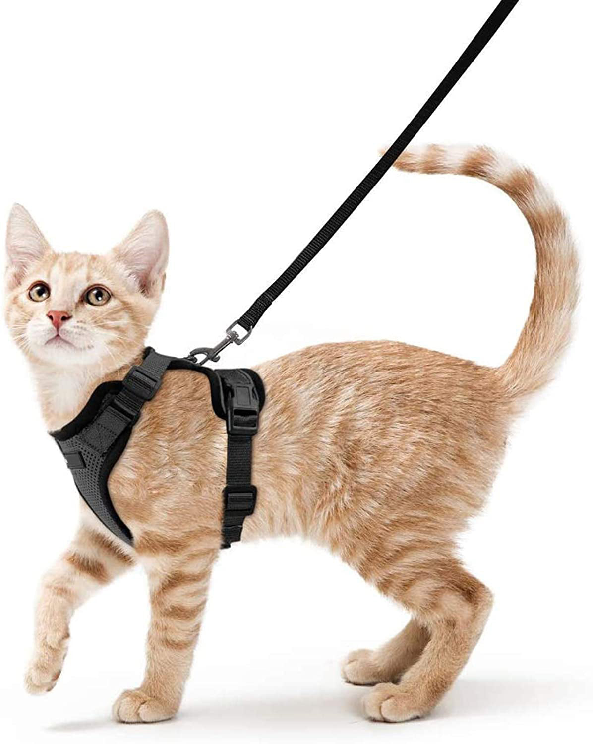 Vest Type Adjustable Anti Breakaway Leash