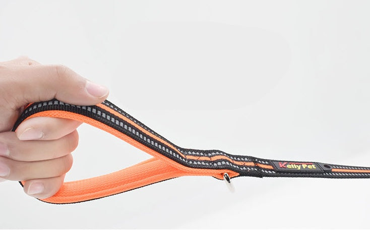 Leash Nylon Leash Assisted Retractable