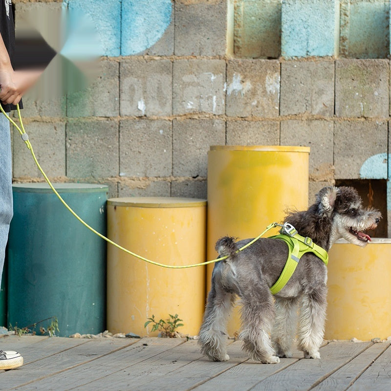 Colorful Adjustable Sliding Pet Leash For Daily Walking Use