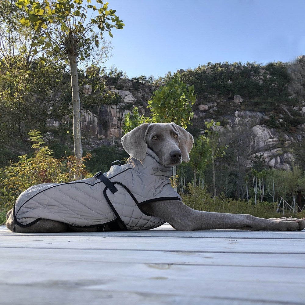 Full Body Reflective Tactical Pet Jacket Protective Wear