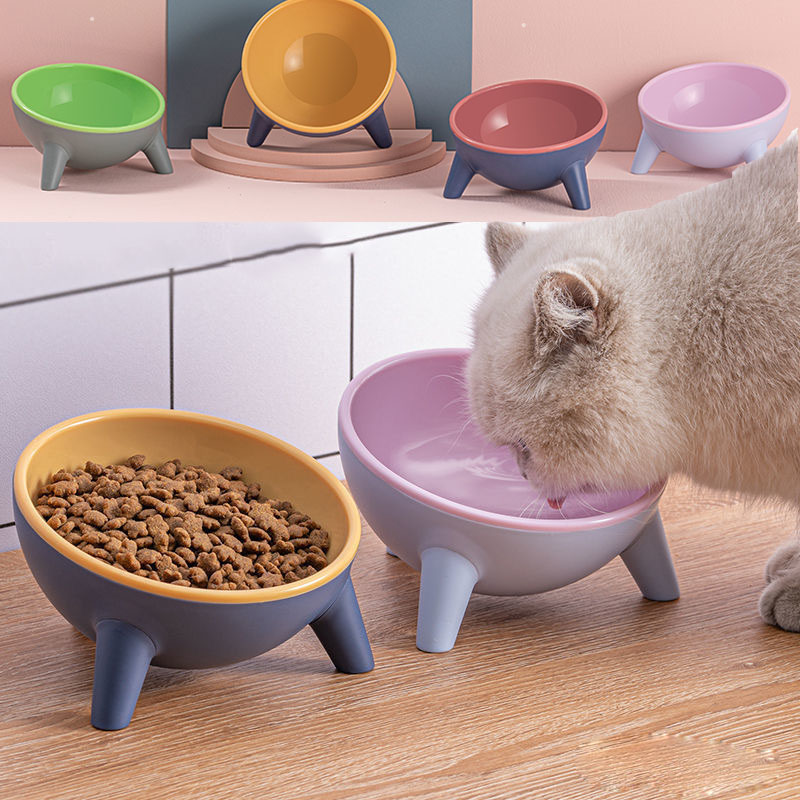 Nordic Style Pet Feeding Bowl With Stand For Food And Water
