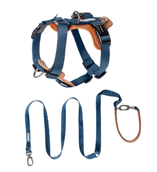 Multifunctional Pet Rope Leash And Chest Strap Walking Set