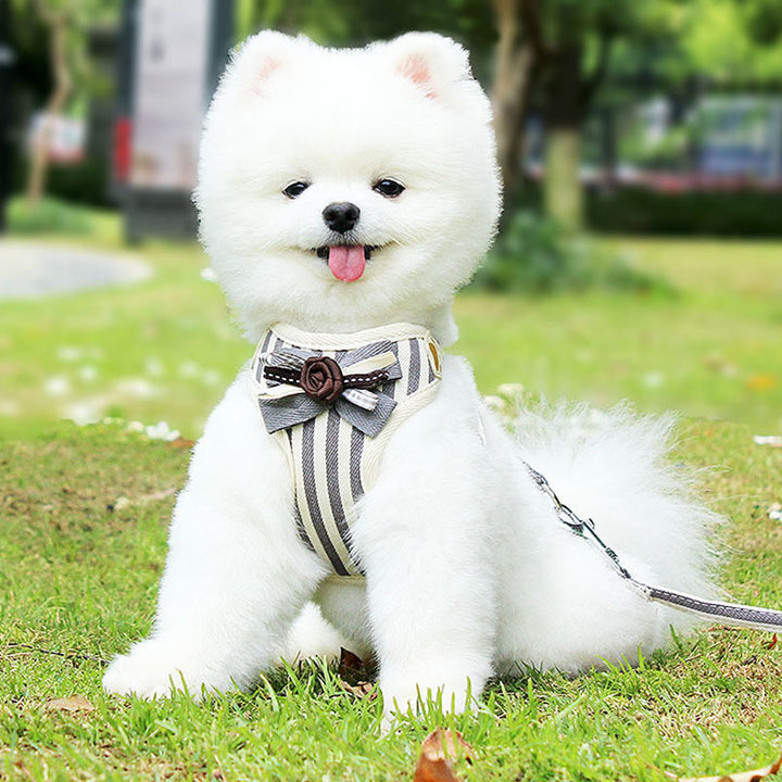 New Pet Chest Strap Leash Vest Type
