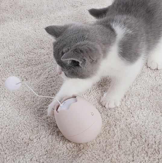 Funny Interactive Pet Entertainment Toy