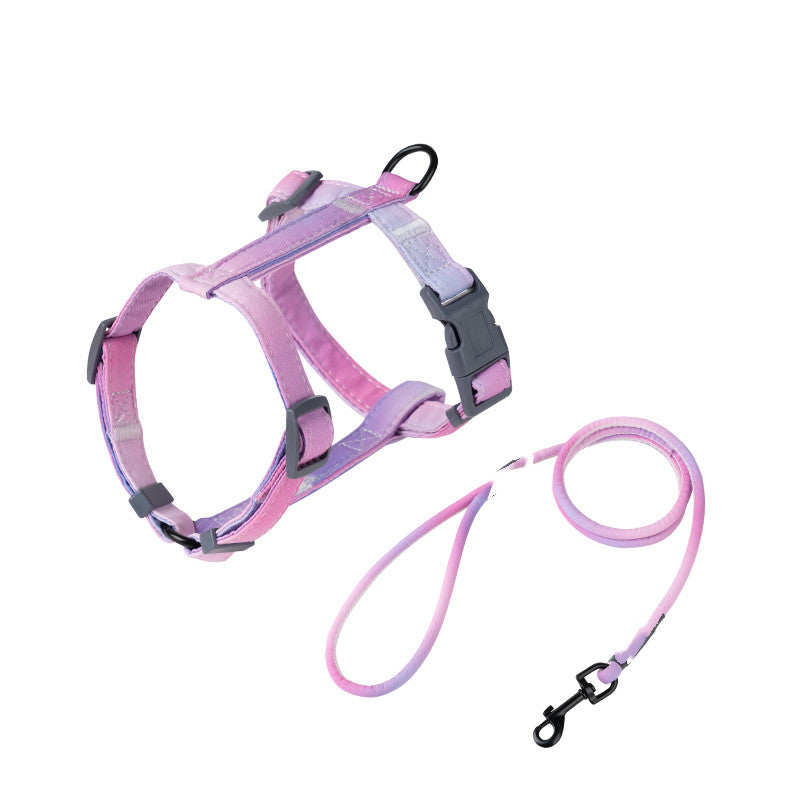 Fashion Leash To Prevent Breaking Free